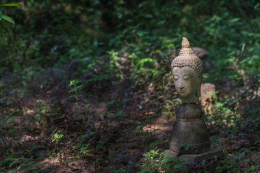 Eski hasarlı Buda heykeli. Tayland 'ın harabe tapınağındaki ormanda pek çok eski terk edilmiş heykel bırakılmış.