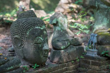 Eski hasarlı Buda heykeli. Tayland 'ın harabe tapınağındaki ormanda pek çok eski terk edilmiş heykel bırakılmış.