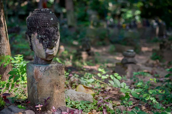 Starověké Staré Poškozené Sochy Buddhy Socha Kamene Byly Ponechány Mnoho — Stock fotografie