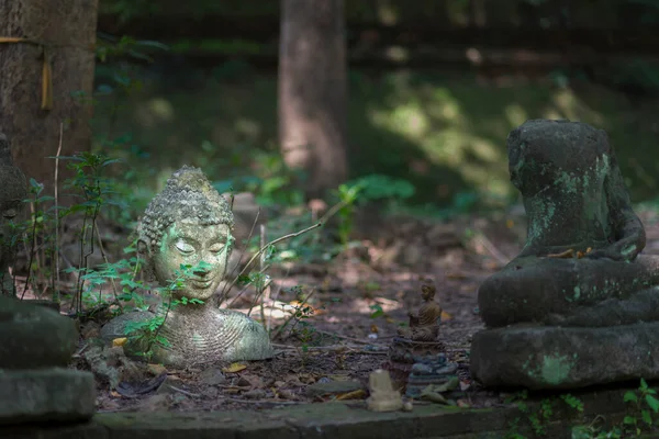 Ancient Old Damaged Buddha Statue Sculpture Stone Were Left Many — Stock Photo, Image