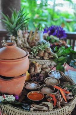 Alternatif tıp ve rahatlama masajı ve spa teması için Tayland baharat seti.