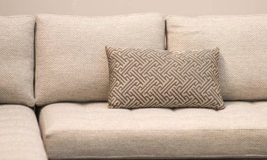 Dünya tonları renk yastığı ve kahverengi yastık kumaş kanepe ev ve canlı akitecture dekorasyonu çağdaş konforlu rahatlama konsepti