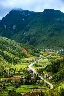 Sung La Valley 'in Akciğer Kamerası Kültür Turizmi Köyü' nün güzel yeşil çeltik tarlaları Dong Van, Ha Giang, Vietnam 'daki eski afyon dükkanında ziyaretçileri cezbediyor.