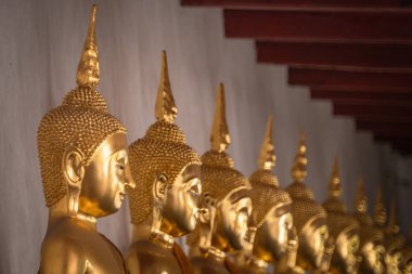 Tayland 'daki Buddisth tapınağında oturan ve ayakta duran bir grup altın Buda heykeli. Din ve ibadet, şanslı yaşam konsepti için dua eder.
