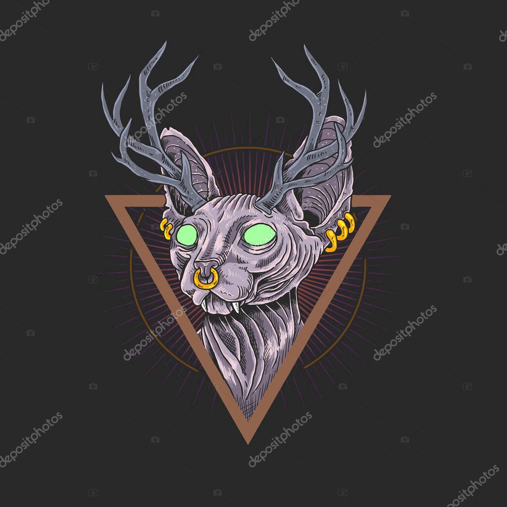 Cat sphynx illustration vector graphic