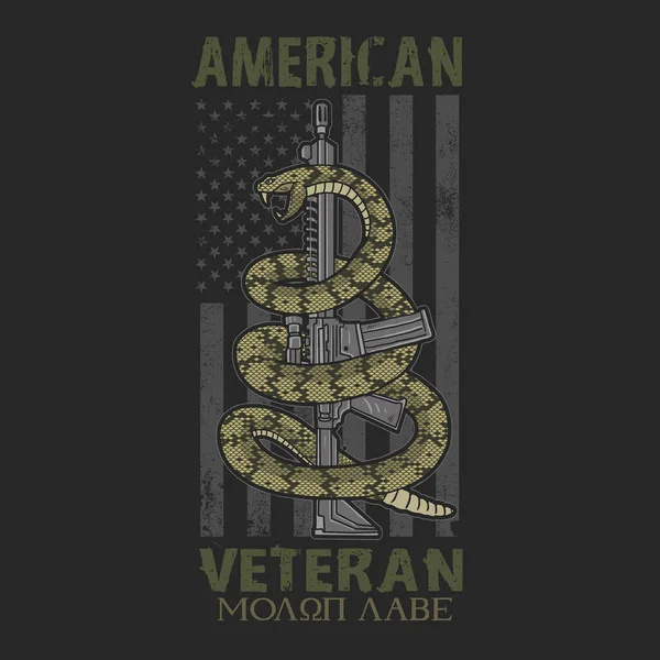 Veterano Americano Simbolo Patriottico Illustrazione Vettore — Vettoriale Stock