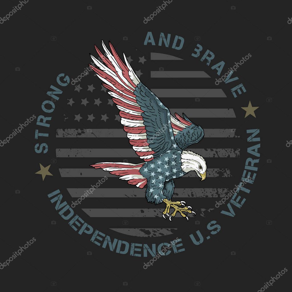 Veteran american eagle illustration vector