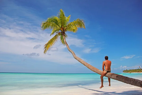 Karayip denizinde bir palmiye ağacının üzerinde oturan genç bir adam bacaklarını sallıyor. Beyaz kuma ve okyanusa hayran kalır ve güneşlener. Bir palmiye ağacı kıyı ve mavi su üzerinde asılı. Dinlenme ve rahatlama kavramı.