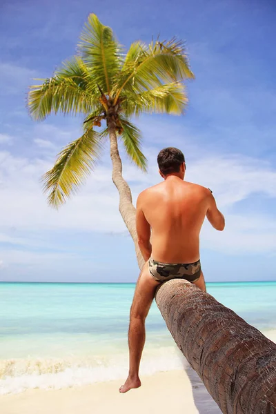Un joven sentado en una palmera en el mar Caribe colgando sus piernas. Él toma el sol y admira la arena blanca y el océano . — Foto de Stock