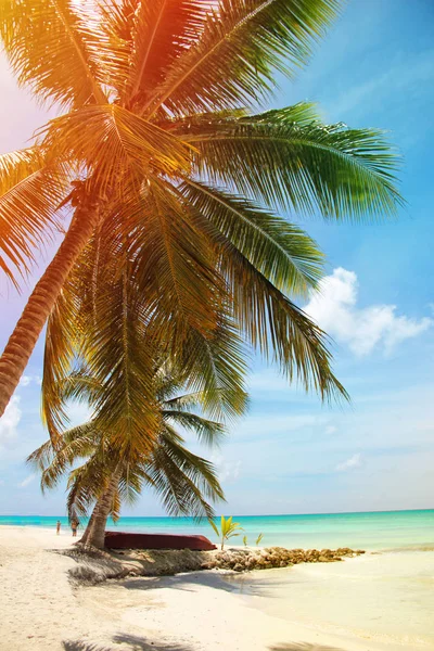 Görüntünün sol tarafında bir palmiye ağacının altında yatan bir tekne ile Karayip denizi Manzara. Güneş ışınları palmiye ağaçlarının yapraklarıarasında parlar.
