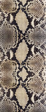 Dikişsiz yılan derisi dokusu. Tropik sürüngenler için moda. Hakiki Python derisi.