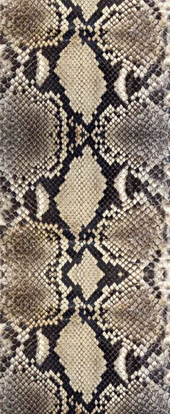 Textura de pele de cobra sem costura. Moda para répteis tropicais. Pele Python genuína . — Fotografia de Stock