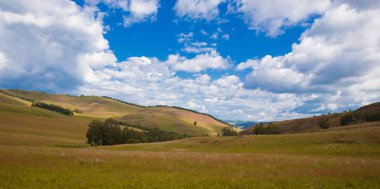 Beyaz bulutlar, ağaçlar, tarlalar ve yeşil çimenler ile çayırlar ile mavi gökyüzü, dağlara karşı. Doğanın bileşimi. Kırsal yaz manzarası.