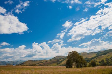 Beyaz bulutlar, ağaçlar, tarlalar ve yeşil çimenler ile çayırlar ile mavi gökyüzü, dağlara karşı. Doğanın bileşimi. Kırsal yaz manzarası.