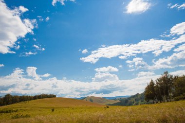 Beyaz bulutlar, ağaçlar, tarlalar ve yeşil çimenler ile çayırlar ile mavi gökyüzü, dağlara karşı. Doğanın bileşimi. Kırsal yaz manzarası.