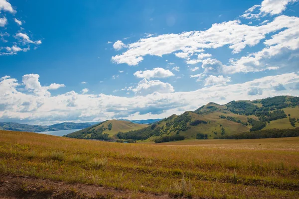 Beyaz bulutlar, ağaçlar, tarlalar ve yeşil çimenler ile çayırlar ile mavi gökyüzü, dağlara karşı. Doğanın bileşimi. Kırsal yaz manzarası.