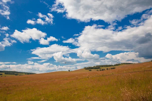 Beyaz bulutlar, ağaçlar, tarlalar ve yeşil çimenler ile çayırlar ile mavi gökyüzü, dağlara karşı. Doğanın bileşimi. Kırsal yaz manzarası.