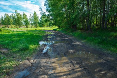 Su birikintileri ve çamurlu arazi aracı için kırlarda zorlu bir manzara ve yol. Sonbahar ya da ilkbahar. Arka planda orman var. Yağmurla yıkanmış yol, geçilemez, çamurlu, çamurlu