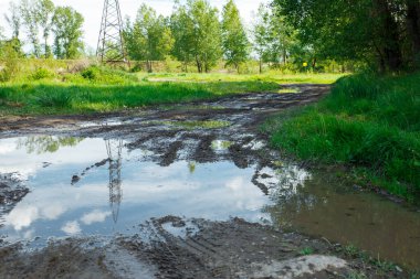 Su birikintileri ve çamurlu arazi aracı için kırlarda zorlu bir manzara ve yol. Sonbahar ya da ilkbahar. Arka planda orman var. Yağmurla yıkanmış yol, geçilemez, çamurlu, çamurlu