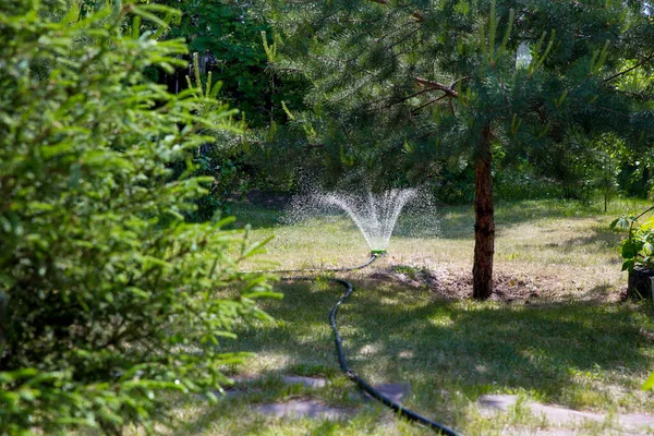 利用灌溉系统在私人住宅花园浇灌树木和绿草 — 图库照片