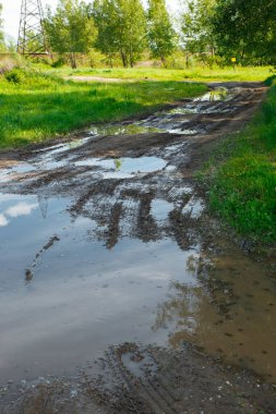 Su birikintileri ve çamurlu arazi aracı için kırlarda zorlu bir manzara ve yol. Sonbahar ya da ilkbahar. Arka planda orman var. Yağmurla yıkanmış yol, geçilemez, çamurlu, çamurlu.