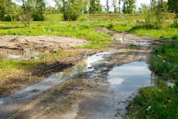 Su birikintileri ve çamurlu arazi aracı için kırlarda zorlu bir manzara ve yol. Sonbahar ya da ilkbahar. Arka planda orman var. Yağmurla yıkanmış yol, geçilemez, çamurlu, çamurlu.