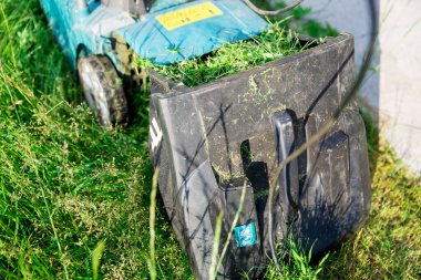 Çim biçme makinesinden çıkarılmış çim biçme çimleri olan konteynır. Yeşil çimen bir çim biçme makinesiyle biçildi. Manikürlü çimen ve bahçe kavramı. Abakan, Rusya-12 Haziran 2020