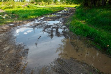 Su birikintileri ve çamurlu arazi aracı için kırlarda zorlu bir manzara ve yol. Sonbahar ya da ilkbahar. Arka planda orman var. Yağmurla yıkanmış yol, geçilemez, çamurlu, çamurlu.