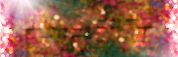 Πολύχρωμο Θολό Φθινοπωρινό Φόντο Ένα Μακρύ Λάβαρο Bokeh — Φωτογραφία Αρχείου