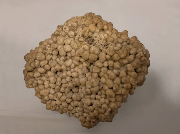 エンドウ豆の石の砂利は、その明るい色、通常は白色に明るい茶色、およびその丸みを帯びたエッジのために求められています. — ストック写真