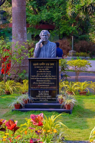 Acharya Jagadish Chandra Bose 'un Hint Botanik Bahçesi' ndeki heykeli, Şubat 2020 'de Kolkata yakınlarında Howrah
