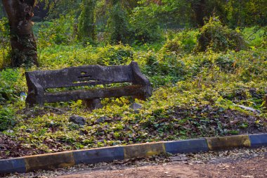 Shibpur 'daki Hint Botanik Bahçesi' nin patikasında yosun kaplı terk edilmiş çimento tezgahı, Howrah, Kolkata yakınlarında. Yumuşak odak