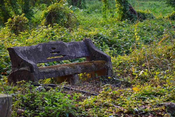 Verlassene Mit Moos Bewachsene Betonbank Auf Dem Fußweg Indischen Botanischen — Stockfoto