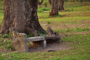 Shibpur 'daki Hint Botanik Bahçesi' nin patikasında yosun kaplı terk edilmiş çimento tezgahı, Howrah, Kolkata yakınlarında. Yumuşak odak