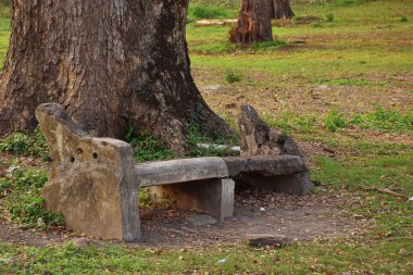 Shibpur 'daki Hint Botanik Bahçesi' nin patikasında yosun kaplı terk edilmiş çimento tezgahı, Howrah, Kolkata yakınlarında. Yumuşak odak
