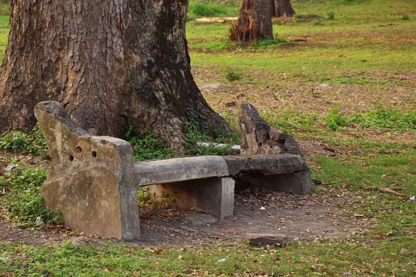 Shibpur 'daki Hint Botanik Bahçesi' nin patikasında yosun kaplı terk edilmiş çimento tezgahı, Howrah, Kolkata yakınlarında. Yumuşak odak