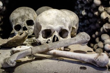 kafatasları ve madeni paralar