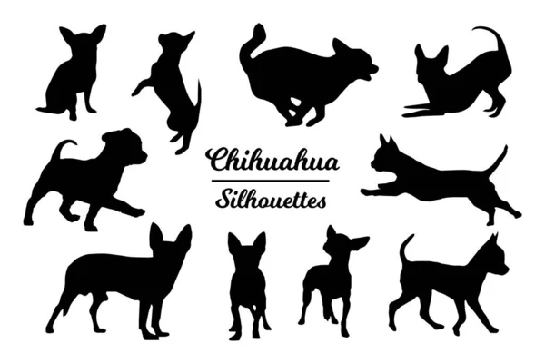 Chihuahua Dog Silhouettes Black White Outline — Stock Vector