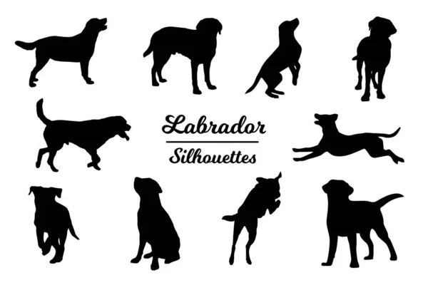 Silhuetas Cão Labrador Esboço Preto Branco — Vetor de Stock