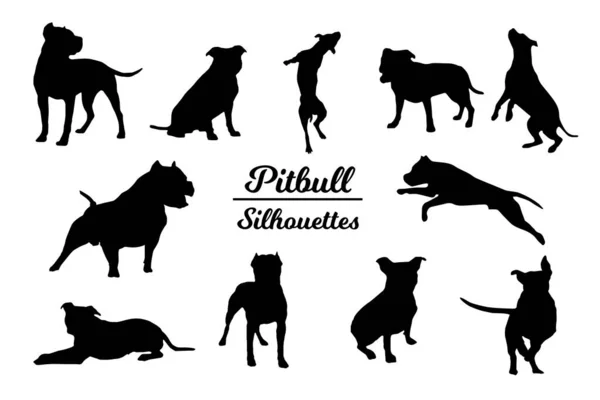 Silhuetas Cães Pitbull Esboço Preto Branco — Vetor de Stock