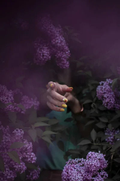 Mains Fille Main Dans Les Fleurs Photo Colorée — Photo