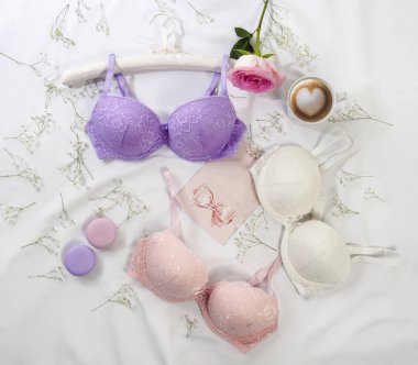 Beyaz kumaş arka plan üzerinde pastel dantel sütyen üst görünümü 