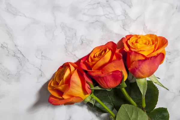 close up of orange roses on marble background