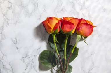 mermer arka plan üzerinde turuncu gül üst görünümü   