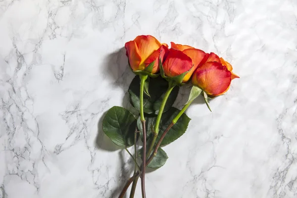 top view of orange roses on marble background