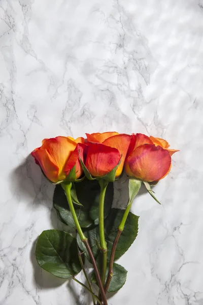 top view of orange roses on marble background