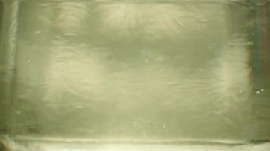 suda kaynayan limon dilimlerinin yavaş hareket