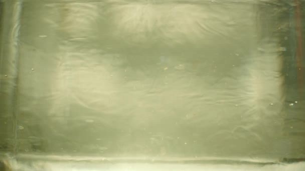 au ralenti des tranches de citron bouillantes dans l'eau 