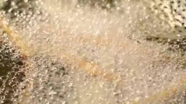 Повільний Рух Шматочків Перцю Смажити Олії — стокове відео