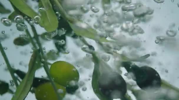 Slow Motion Olive Branch Boiling Water — Stock Video